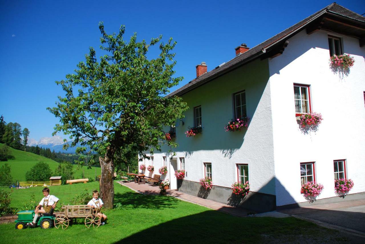 Biobauernhof Schoettelbauer Rosenau am Hengstpass Exterior foto