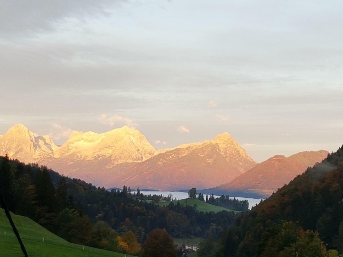 Biobauernhof Schoettelbauer Rosenau am Hengstpass Exterior foto